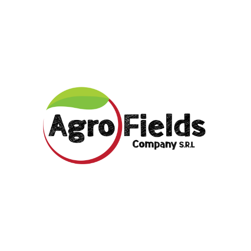 Logo 4